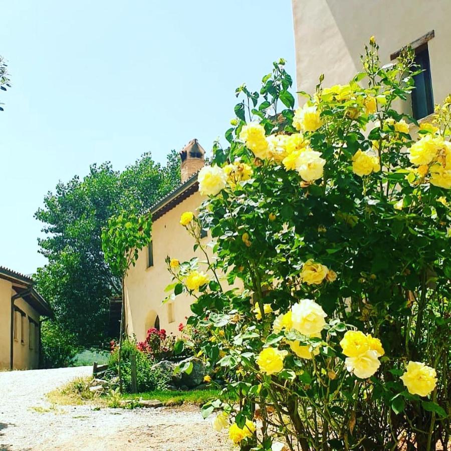 Agriturismo Il Covo Del Solengo Vila Valtopina Exterior foto